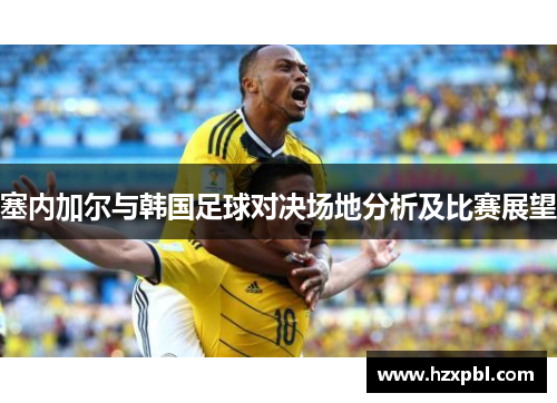 塞内加尔与韩国足球对决场地分析及比赛展望