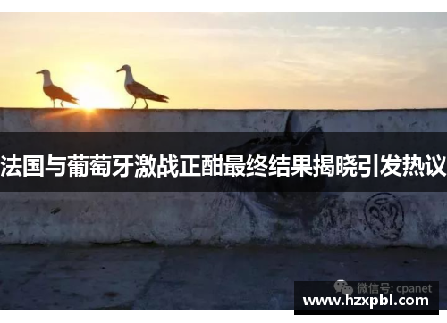 法国与葡萄牙激战正酣最终结果揭晓引发热议