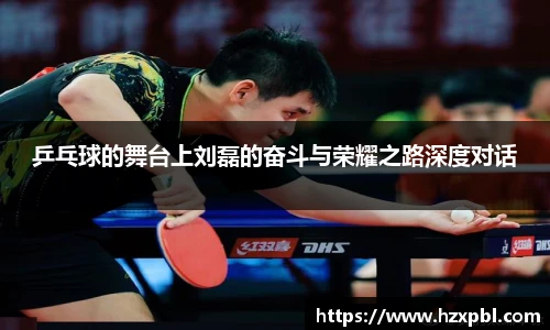 乒乓球的舞台上刘磊的奋斗与荣耀之路深度对话